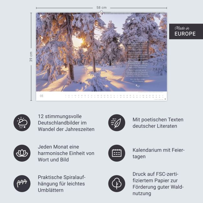 InsideView 13