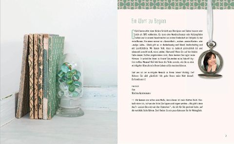 InsideView 4
