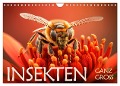 Insekten ganz gross (Wandkalender 2024 DIN A4 quer), CALVENDO Monatskalender - Daniel Rohr
