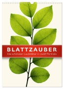 Cover-Bild zum Titel 'Blattzauber (Wandkalender 2026 DIN A3 hoch), CALVENDO Monatskalender' von 'Wildlife Art Print'