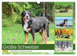 Cover-Bild zum Titel 'Große Schweizer - Gigantische Sennenhunde (Wandkalender 2026 DIN A3 quer), CALVENDO Monatskalender' von 'Jana K. Fotografie'