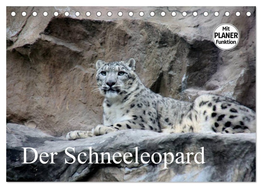 Der Schneeleopard (Tischkalender 2026 DIN A5 quer), CALVENDO Monatskalender - Arno Klatt