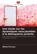 Cover-Bild zum Titel 'Une étude sur les dynamiques sous-jacentes à la délinquance juvénile' von 'Nikhat Perveen'