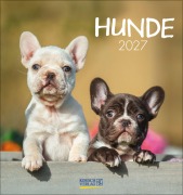 Cover-Bild zum Titel 'Hunde 2027' von ''