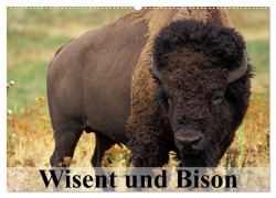Cover-Bild zum Titel 'Wisent und Bison (Wandkalender 2026 DIN A2 quer), CALVENDO Monatskalender' von 'Elisabeth Stanzer'