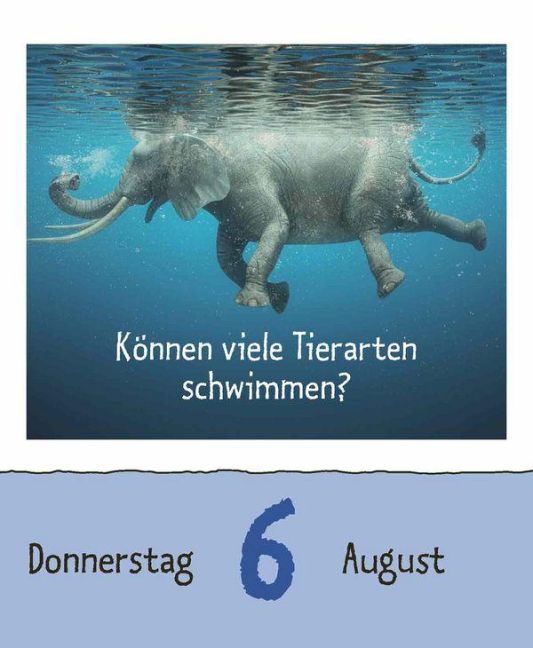 InsideView 12