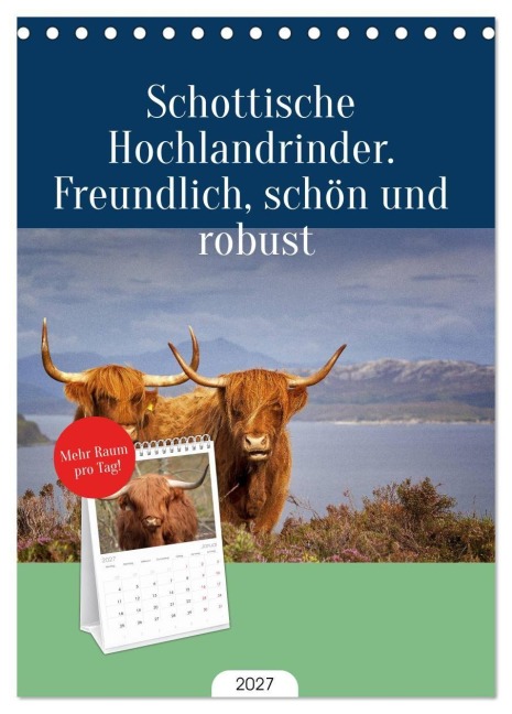 Tischplaner 2027 - Schottische Hochlandrinder. Freundlich, schön und robust (A5 Tischkalender zum Aufstellen) CALVENDO - Elisabeth Stanzer