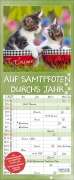 Cover-Bild zum Titel 'Auf Samtpfoten durch's Jahr 2027' von ''