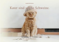 Cover-Bild zum Titel 'Kater sind solche Schweine.' von 'Isabella Renitente'