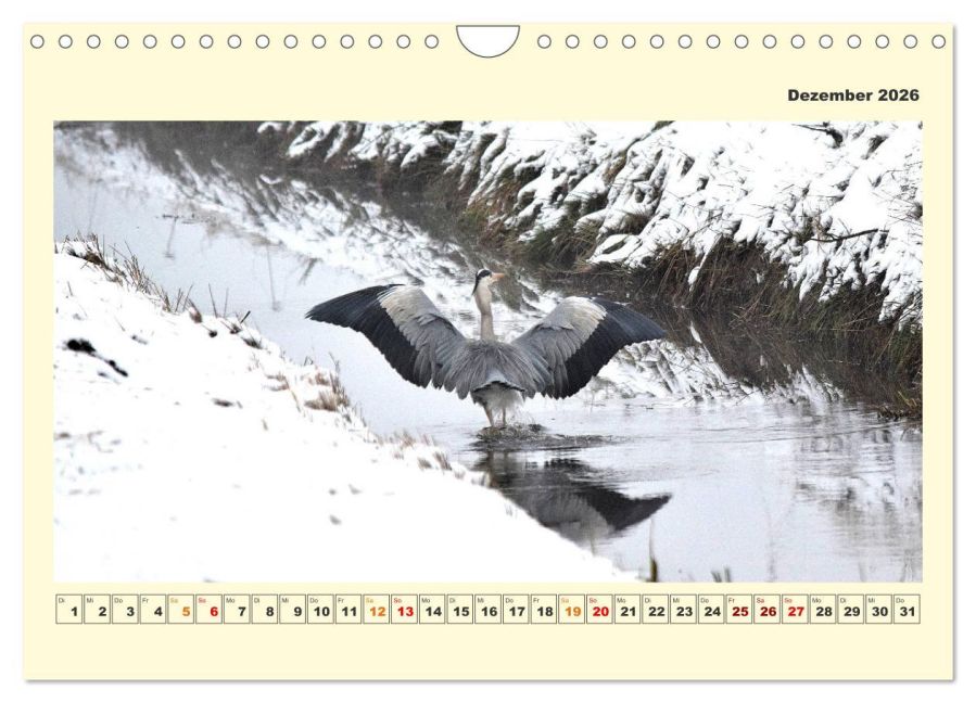InsideView 4