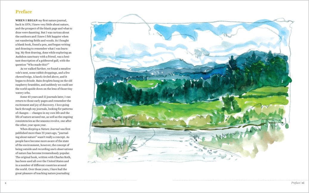 InsideView 1