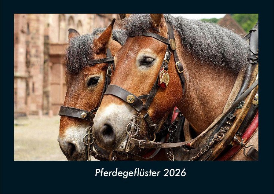Pferdegeflüster 2026 Fotokalender DIN A4 - Tobias Becker