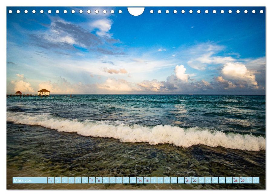 InsideView 8