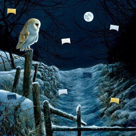 Zettelkalender Magie und Mythos der Winter-Weihnacht - Susan Niessen Zettelkalender Magie und Mythos der Winter-Weihnacht - Susan Niessen