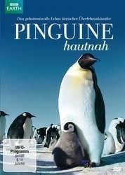 Pinguine Hautnah - Will Gregory