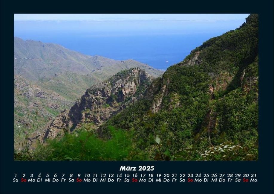 InsideView 7