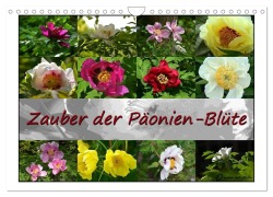 Cover-Bild zum Titel 'Zauber der Päonien-Blüte (Wandkalender 2027 DIN A4 quer), CALVENDO Monatskalender' von 'Monika Reiter'