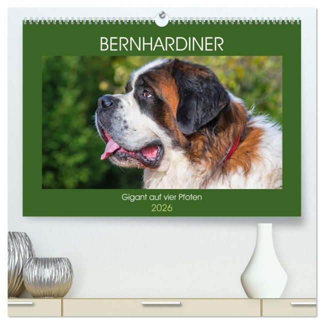 Bernhardiner - Gigant auf vier Pfoten (hochwertiger Premium Wandkalender 2026 DIN A2 quer), Kunstdruck in Hochglanz - Sigrid Starick