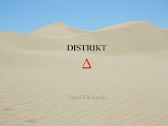 Cover-Bild zum Titel 'Distrikt Delta' von 'Sigrid Ellenberger'