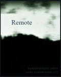 Remote - Mike Bozart