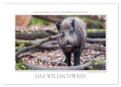 Cover-Bild zum Titel 'Emotionale Momente: Das Wildschwein. (Wandkalender 2026 DIN A2 quer), CALVENDO Monatskalender' von 'Ingo Gerlach GDT'