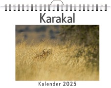 Cover-Bild zum Titel 'Karakal' von 'Samuel Schmitt'