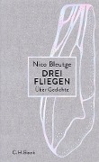 Cover-Bild zum Titel 'Drei Fliegen' von 'Nico Bleutge'