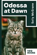 Cover-Bild zum Titel 'Odesa at Dawn' von 'Sally Mcgrane'