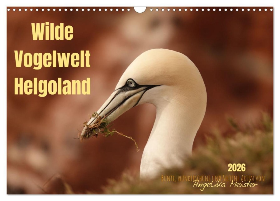 Wilde Vogelwelt Helgoland (Wandkalender 2026 DIN A3 quer), CALVENDO Monatskalender - Angelika Meister