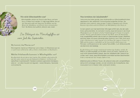 InsideView 8