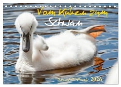 Cover-Bild zum Titel 'Vom Küken zum Schwan (Tischkalender 2026 DIN A5 quer), CALVENDO Monatskalender' von 'Roland T. Frank'