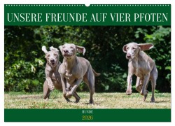 Cover-Bild zum Titel 'Unsere Freunde auf vier Pfoten - Hunde (Wandkalender 2026 DIN A2 quer), CALVENDO Monatskalender' von 'Sigrid Starick'