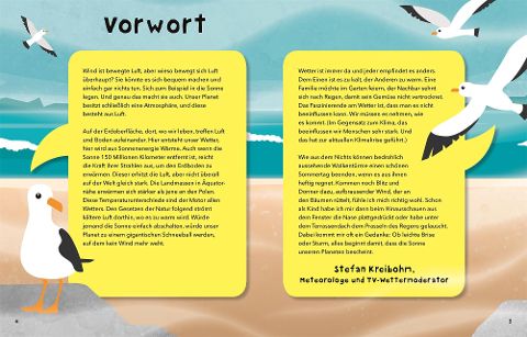 InsideView 2