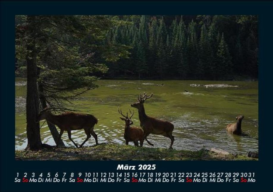 InsideView 7