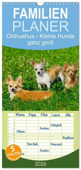 Familienplaner 2026 - Chihuahua - Kleine Hunde ganz groß mit 5 Spalten (Wandkalender, 21 x 45 cm) CALVENDO - Sigrid Starick