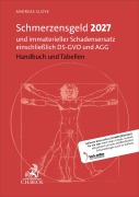 Cover-Bild zum Titel 'Schmerzensgeld 2027' von 'Andreas Slizyk'