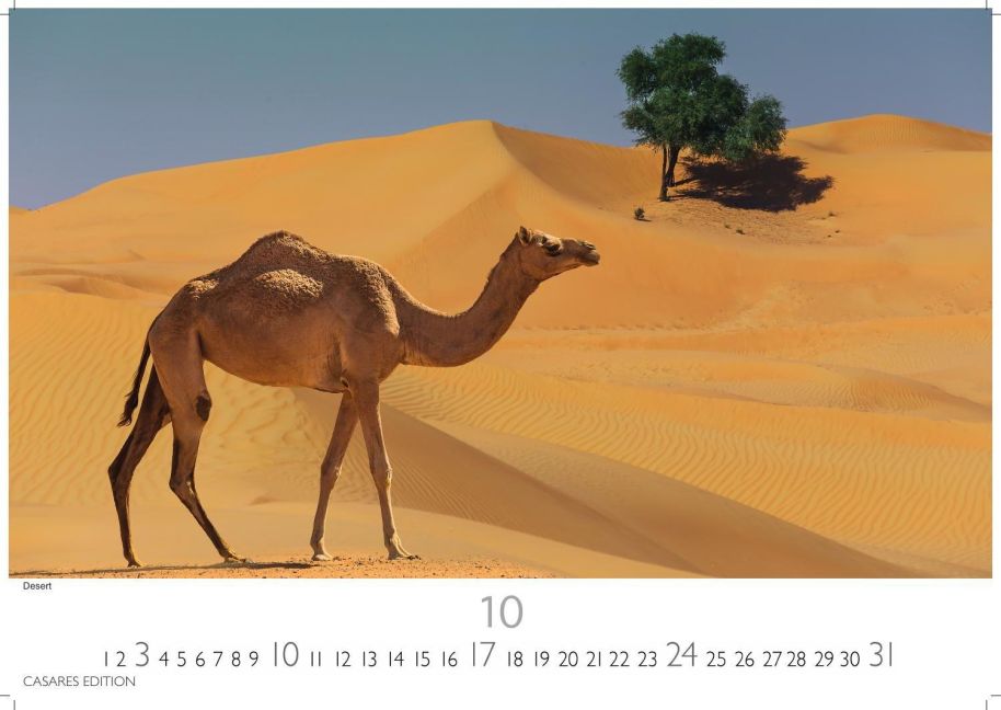 InsideView 10