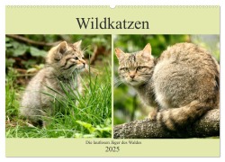 Wildkatzen - Die lautlosen Jäger des Waldes (Wandkalender 2025 DIN A2 quer), CALVENDO Monatskalender - Arno Klatt