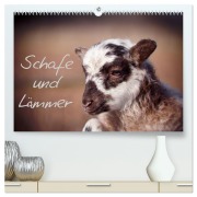 Cover-Bild zum Titel 'Schafe und Lämmer (hochwertiger Premium Wandkalender 2026 DIN A2 quer), Kunstdruck in Hochglanz' von 'Hermann Greiling'