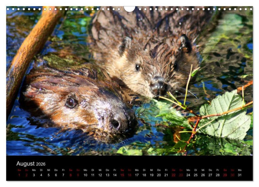 InsideView 13