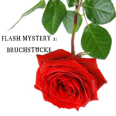 Flash Mystery 2: Bruchstücke - Christina Schwarz