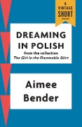 Cover-Bild zum Titel 'Dreaming in Polish' von 'Aimee Bender'