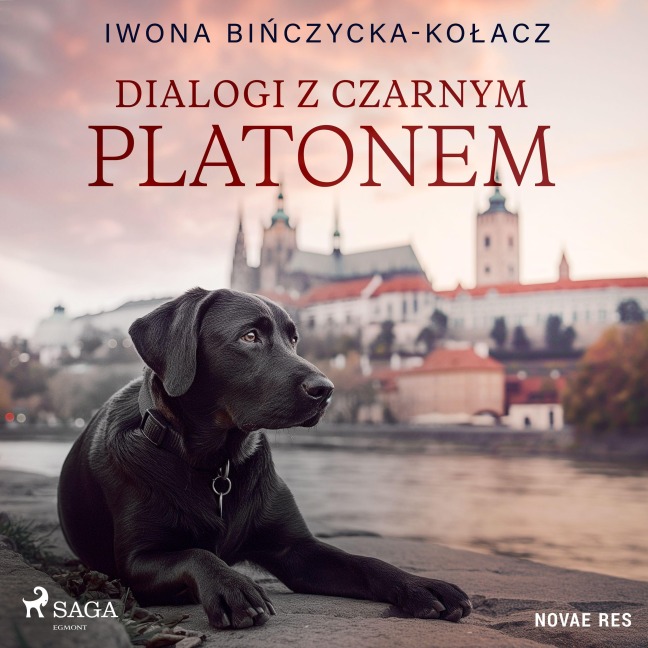 Dialogi z czarnym Platonem - Iwona Bi¿czycka-Ko¿acz