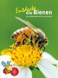 Cover-Bild zum Titel 'Entdecke die Bienen' von 'Andrea Möller, Nadine Pasch, Johanna Kranz'