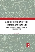 Cover-Bild zum Titel 'A Brief History of the Chinese Language II' von 'Xi Xiang'