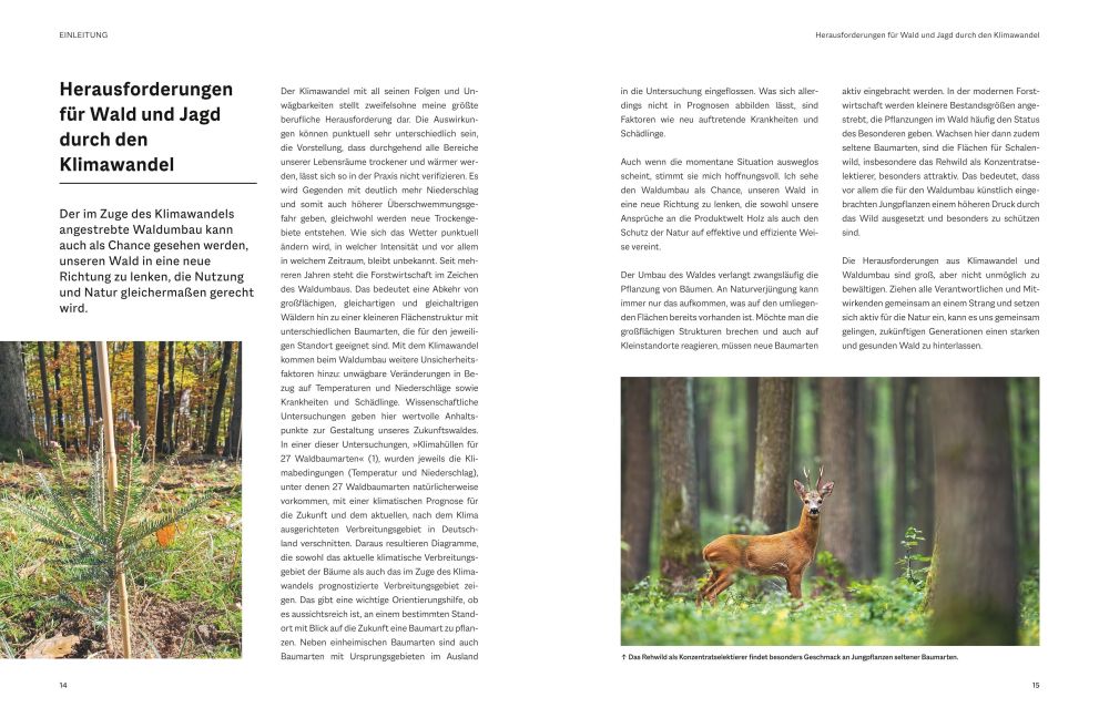 InsideView 3