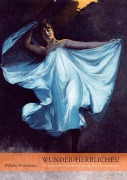 Cover-Bild zum Titel 'Wunder-Herrliches!' von 'Wilhelm Widenmann'
