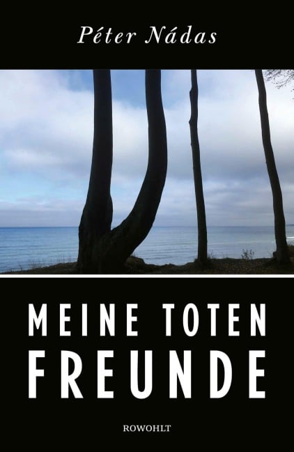 Meine toten Freunde - Péter Nádas