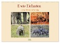 E wie Elefanten - verspielt und schnüssig (Wandkalender 2024 DIN A3 quer), CALVENDO Monatskalender - Susan Michel