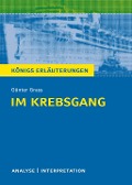 Cover-Bild zum Titel 'Im Krebsgang von Günter Grass. Alle erforderlichen Infos für Abitur, Matura, Klausur und Referat plus Musteraufgaben mit Lösungsansätzen.' von 'Günter Grass'